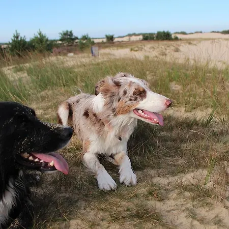 Natuurpoort Loon Hotell Loon op Zand