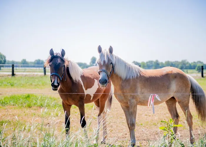 Natuurpoort Loon Szálloda