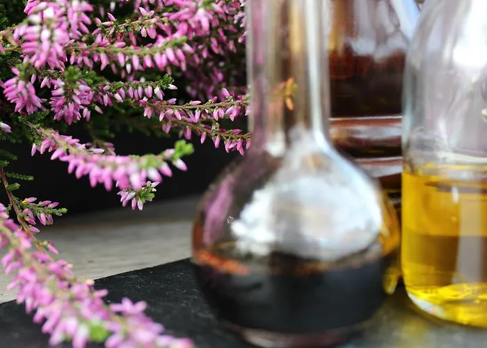 Szálloda Natuurpoort Loon