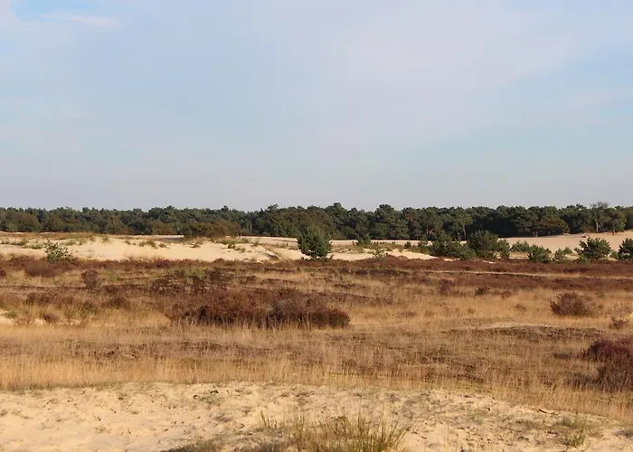 Natuurpoort Loon فندق Loon op Zand