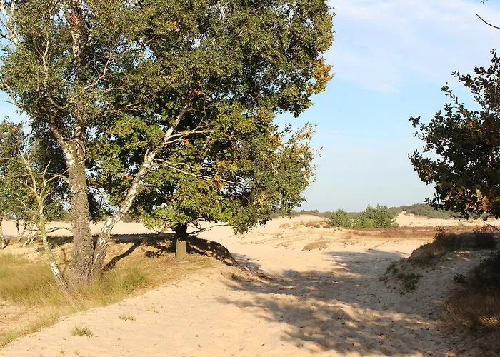 Natuurpoort Loon 2* Loon op Zand