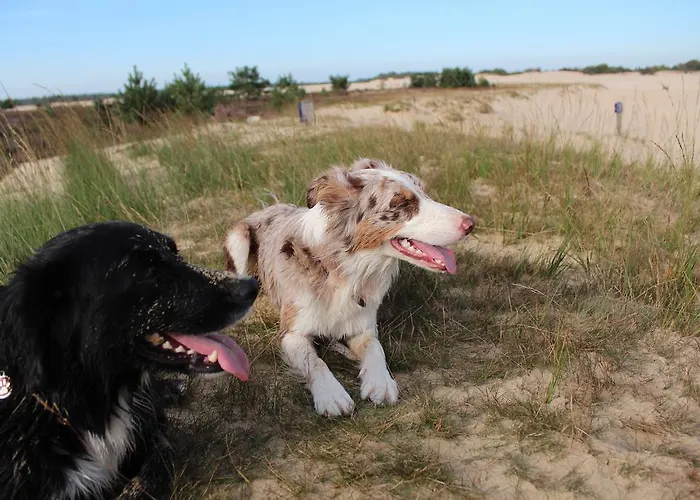 Natuurpoort Loon Szálloda Loon op Zand