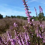 Natuurpoort Loon 2* Loon op Zand