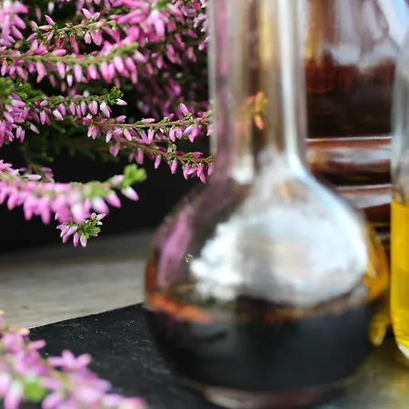 Hotel Natuurpoort Loon